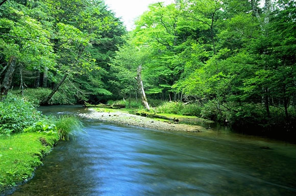 奥日光清流清湖写真展 ～清らかな水を次の世代へ～