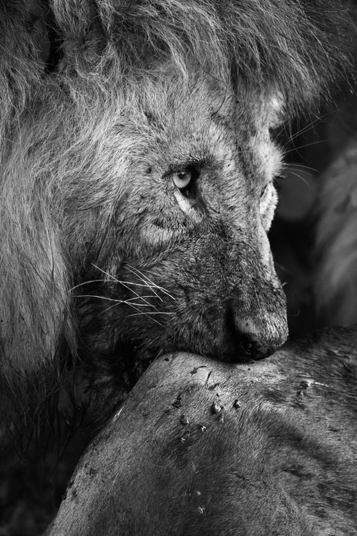 「都立国際高校写真展」