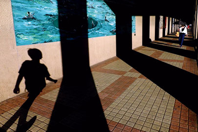 「第16回建コンフォト大賞 あなたのお気に入りの土木施設」